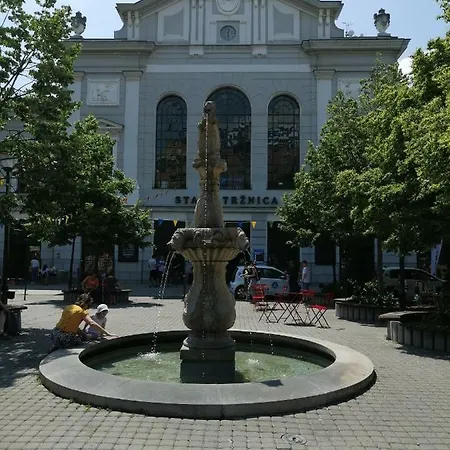 Town Hall 布拉迪斯拉发